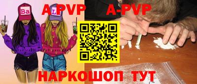 эйфоретик Малгобек