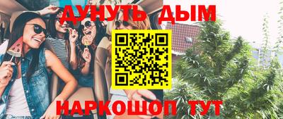 эйфоретик Малгобек