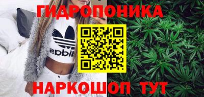 крисы Можга